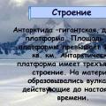 Презентация 